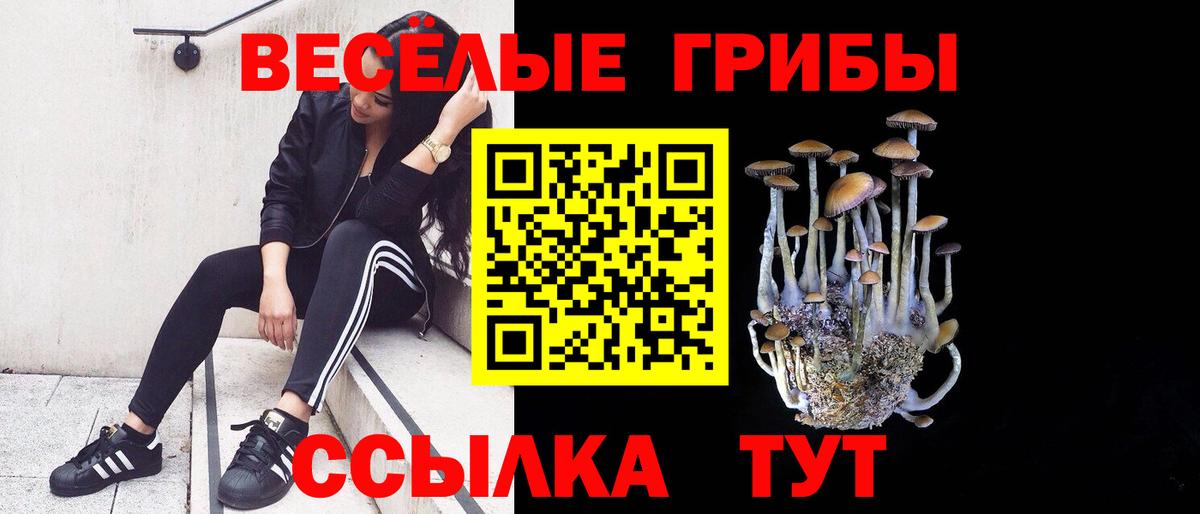 Шарыпово  дарнет шоп  Вход с VPN  Псилоцибиновые грибы Psilocybe 